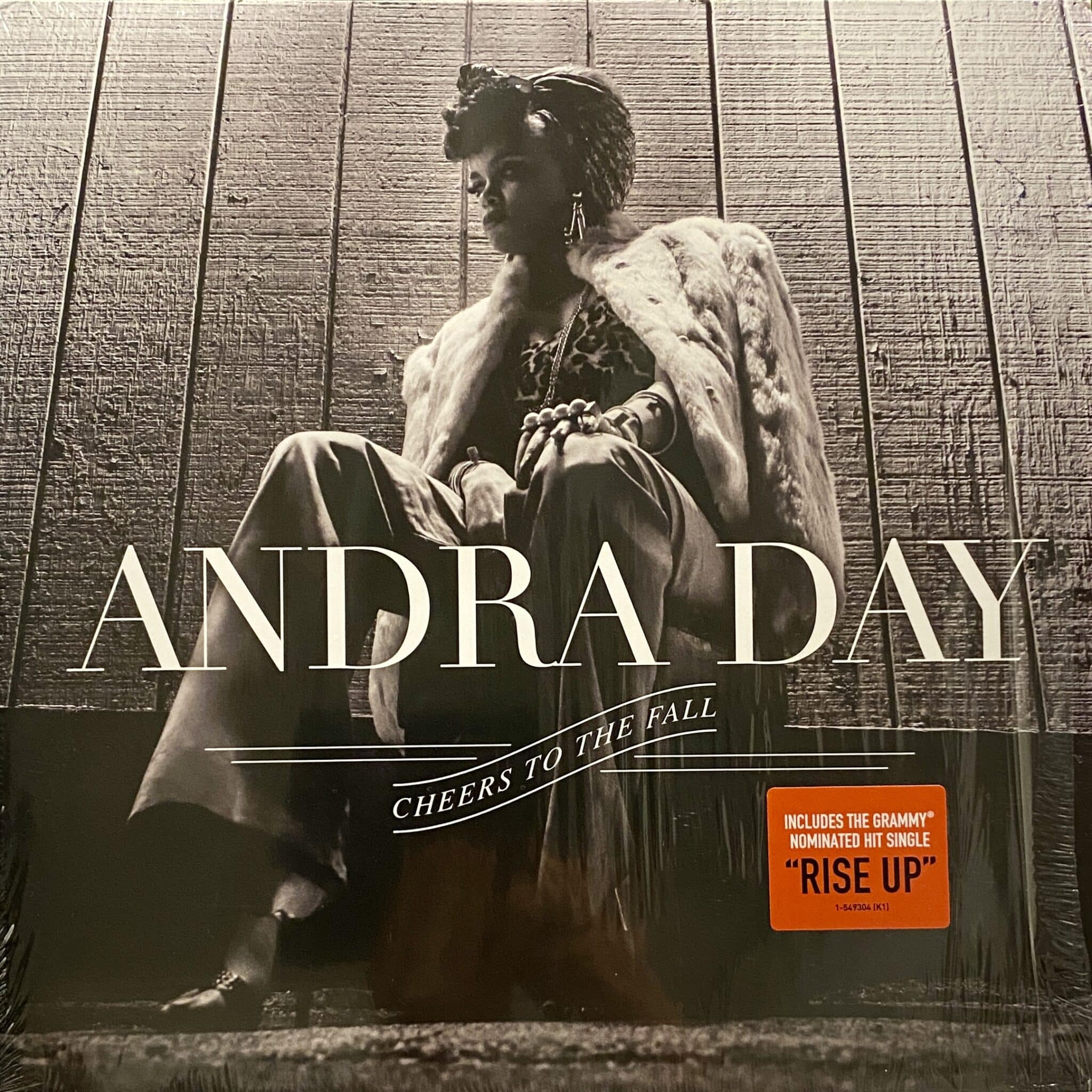 Andra Day – Cheers To The Fall