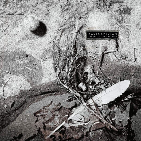 David Sylvian – Secrets Of The Beehive