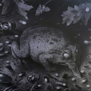 Tusmørke – Ført Bak Lyset