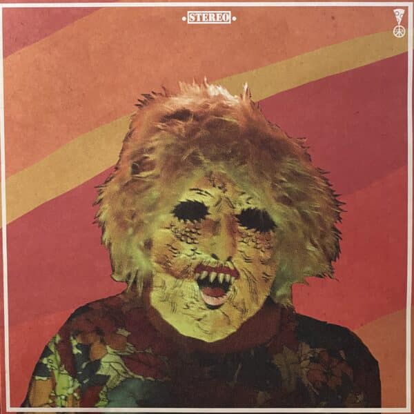 Ty Segall – Melted