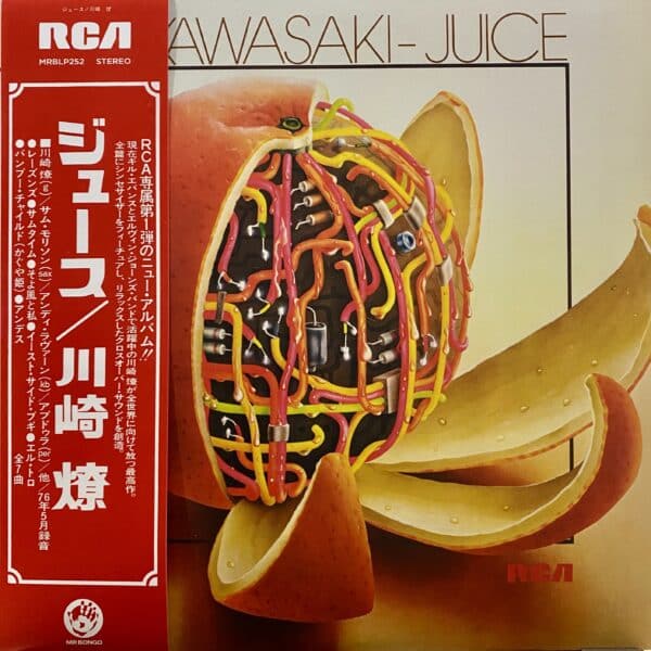 Ryo Kawasaki = 川崎燎 – Juice = ジュース