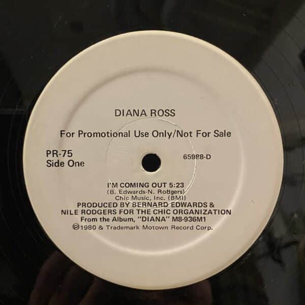 Diana Ross / Mira Waters / Legend – I'm Coming Out / Rock And Roll Me / Shake It Lady MAXI