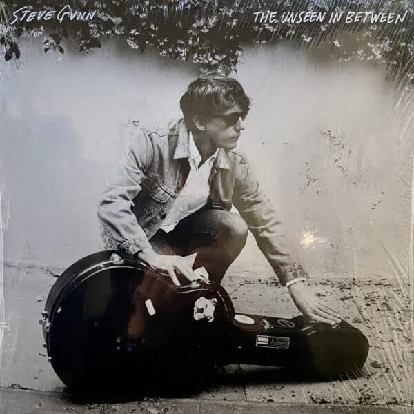 Steve Gunn – The Unseen In Between