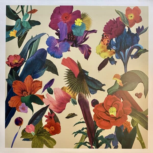 Washed Out – Paracosm