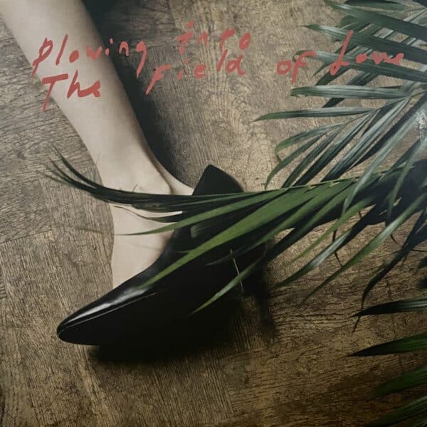Iceage – Plowing Into The Field Of Love