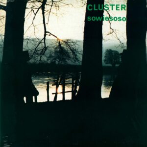 Cluster – Sowiesoso