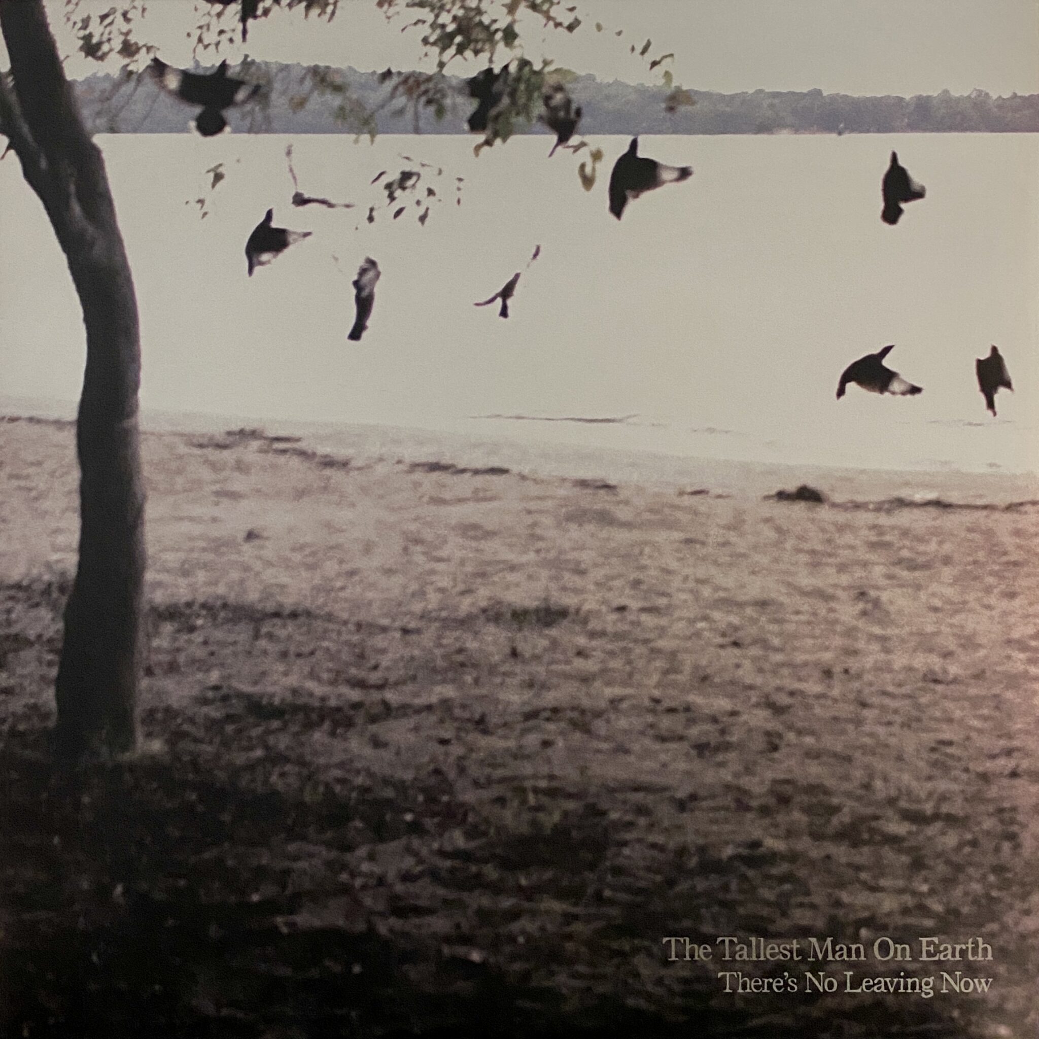 The Tallest Man On Earth – There's No Leaving Now