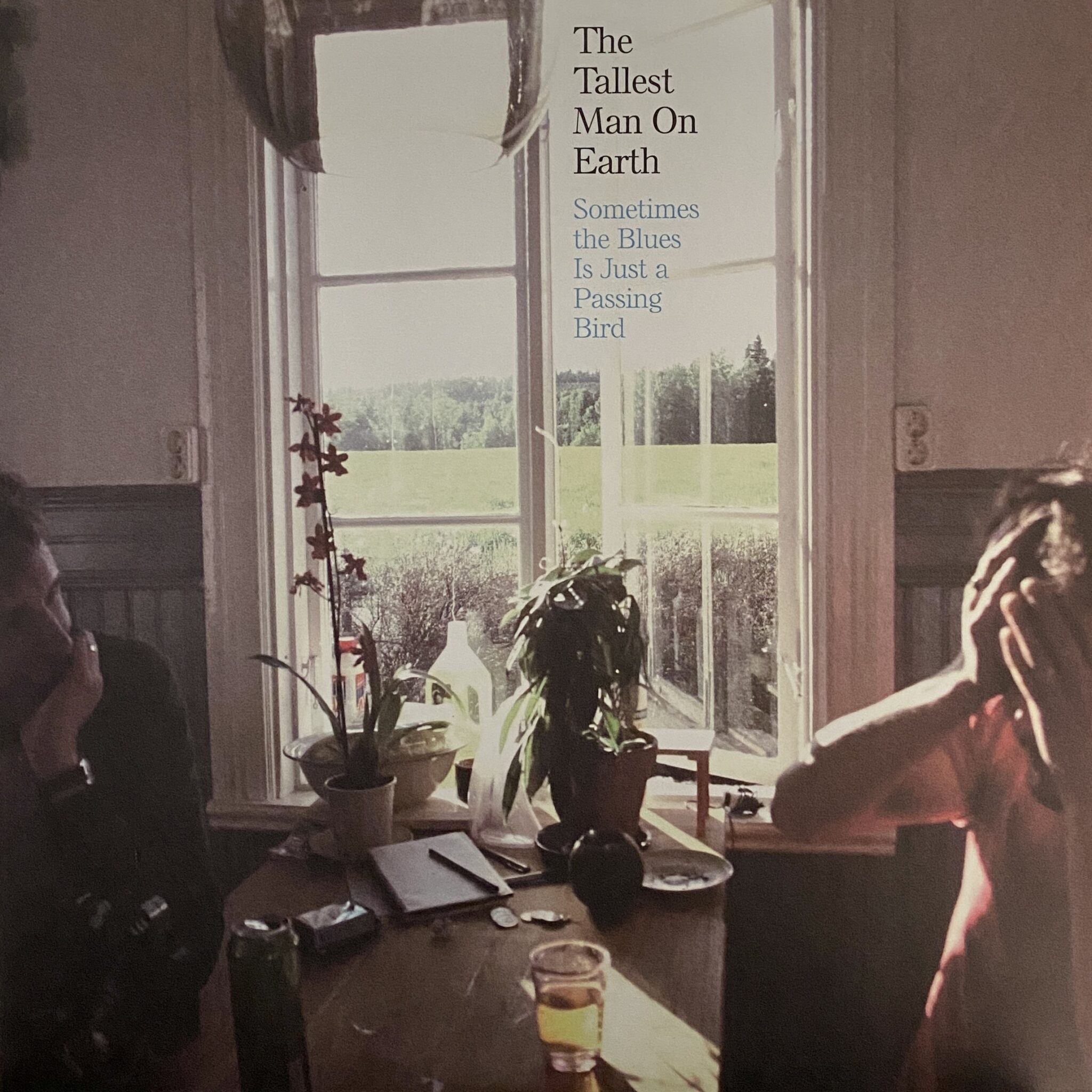 The Tallest Man On Earth – Sometimes The Blues Is Just A Passing Bird EP