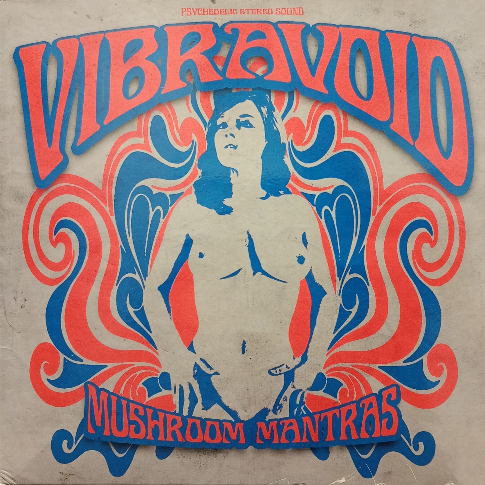 Vibravoid – Mushroom Mantras