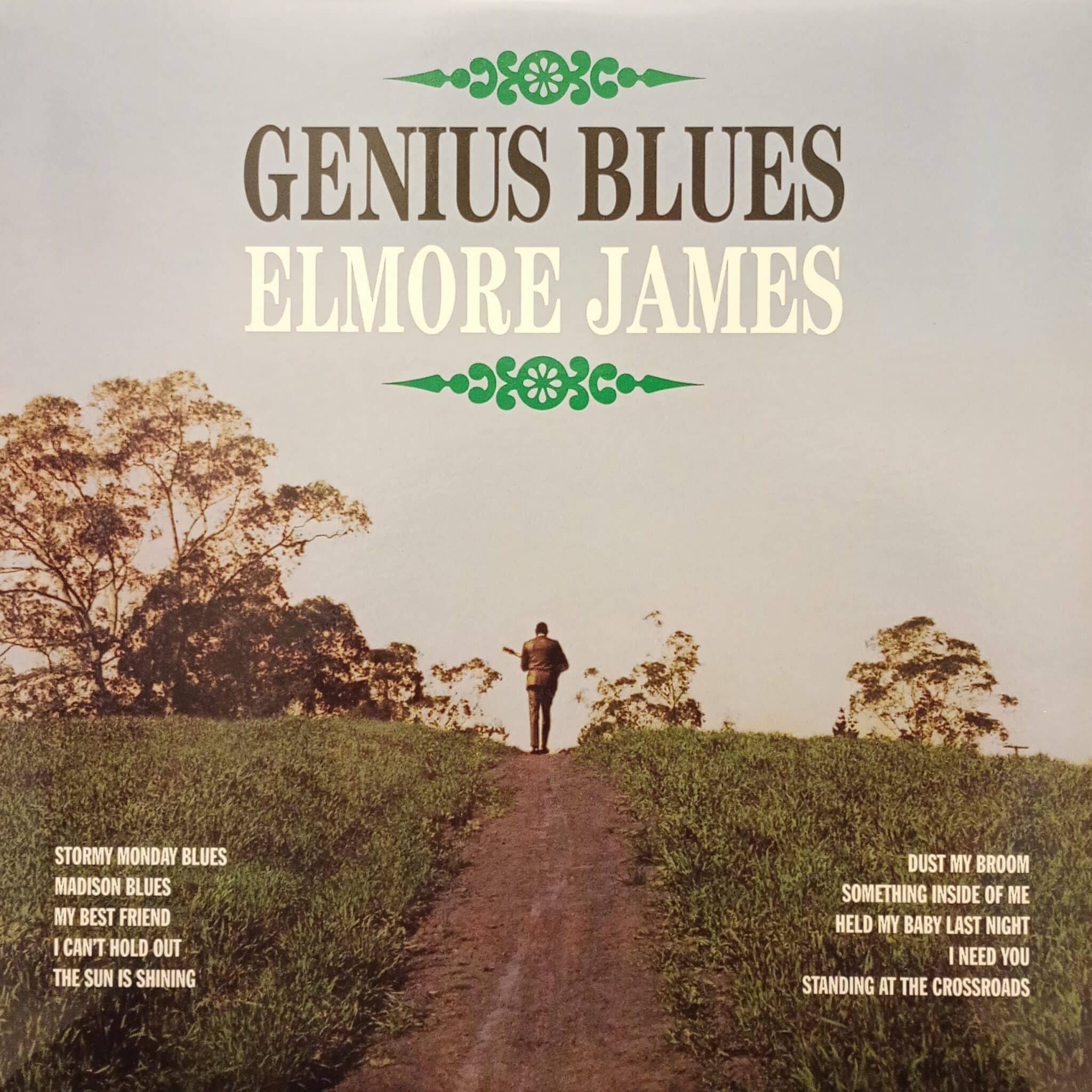 Elmore James – Genius Blues