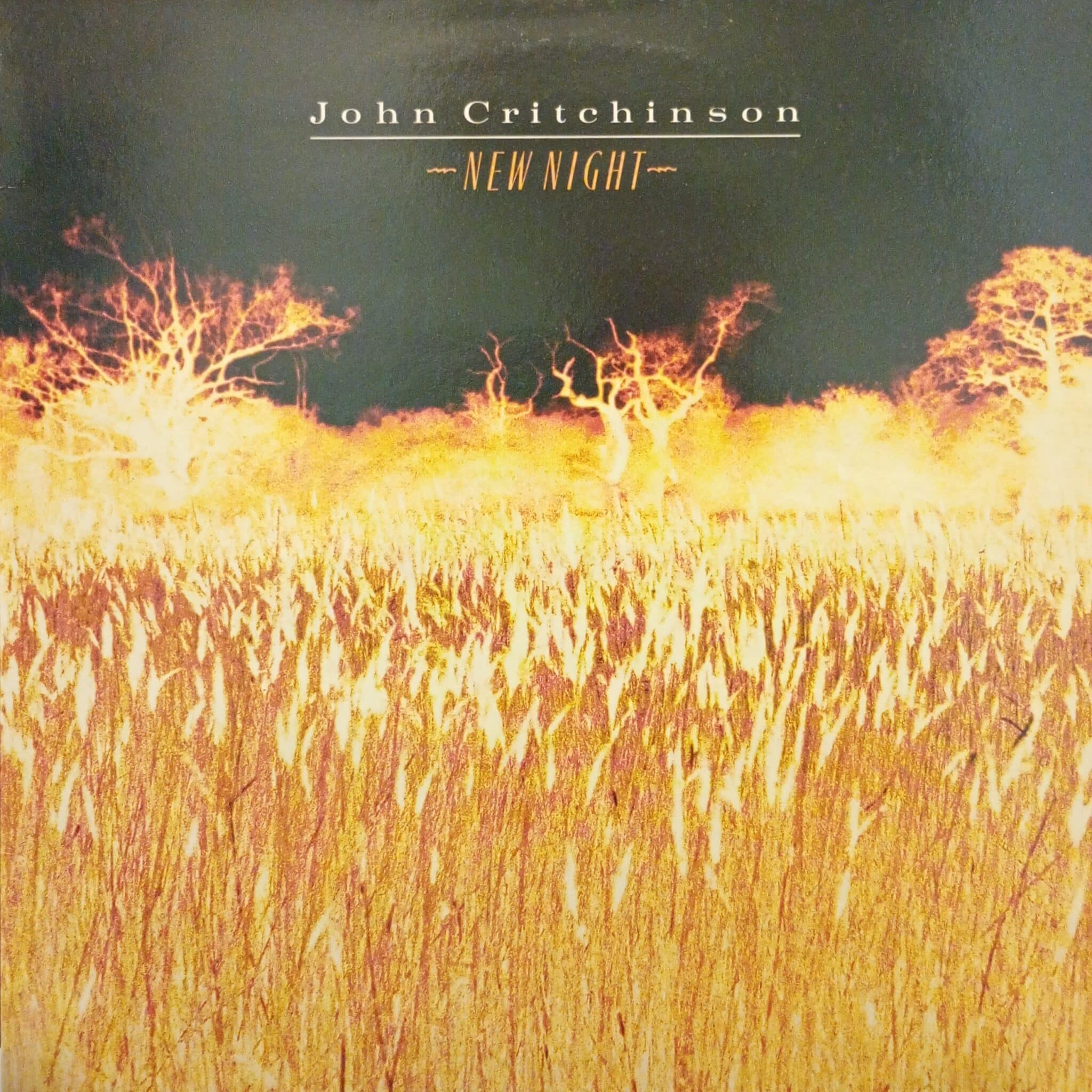 John Critchinson – New Night