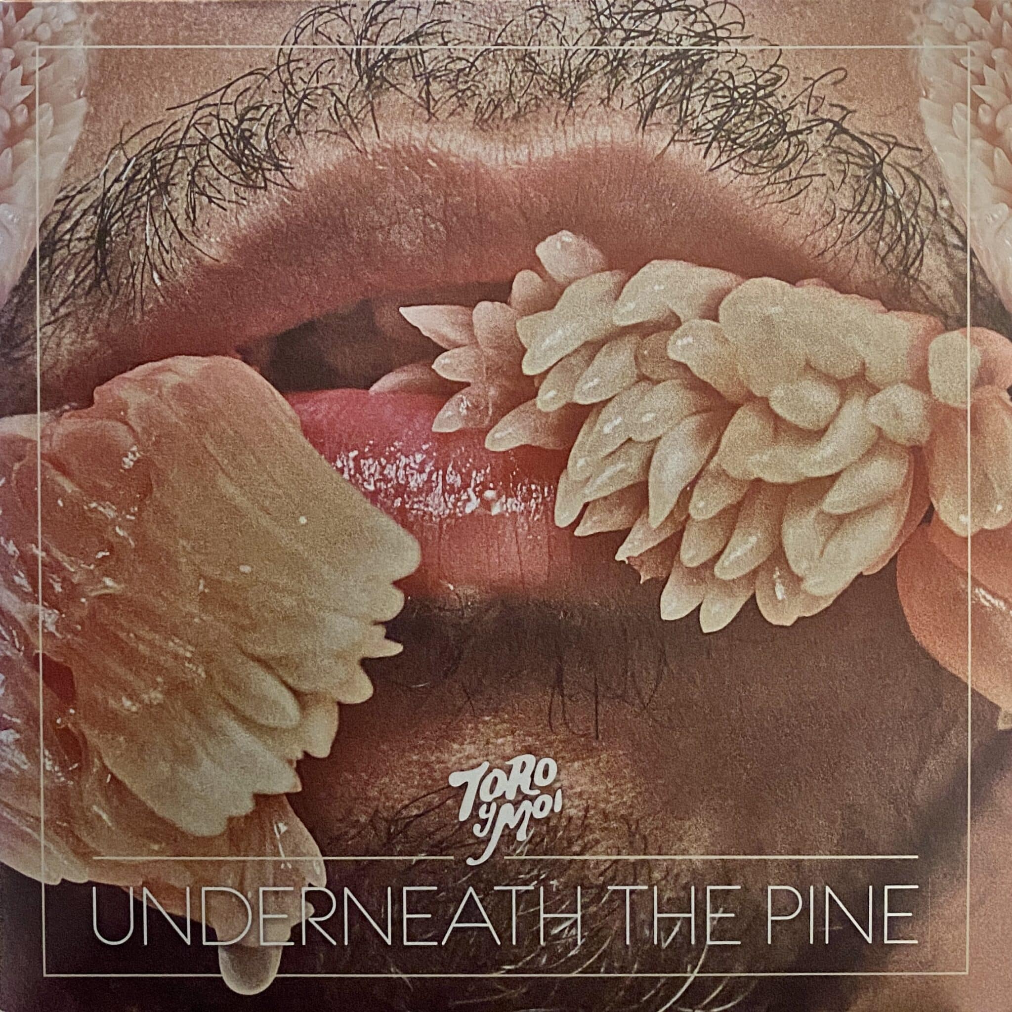 Toro Y Moi – Underneath The Pine