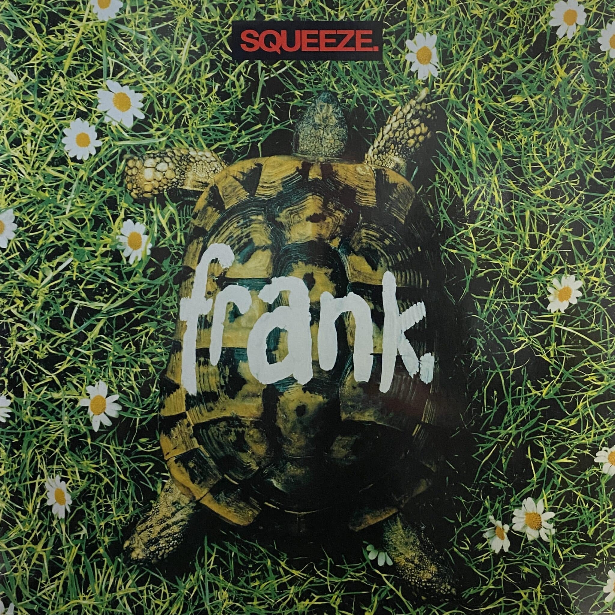 Squeeze – Frank