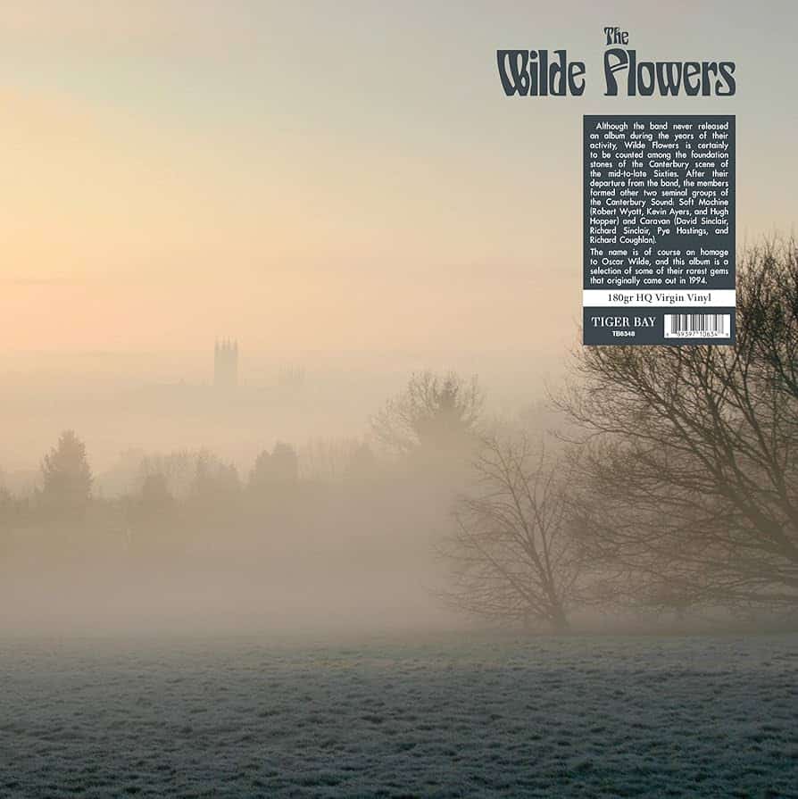 The Wilde Flowers – The Wilde Flowers