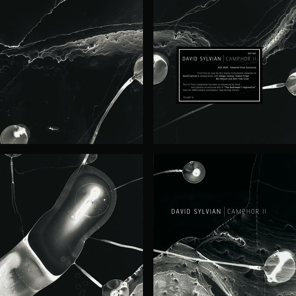 David Sylvian – Camphor II