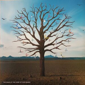 Biffy Clyro – Opposites
