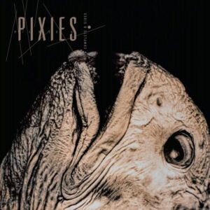 Pixies – Complete 'B' Sides 1988-97 (black vinyl)