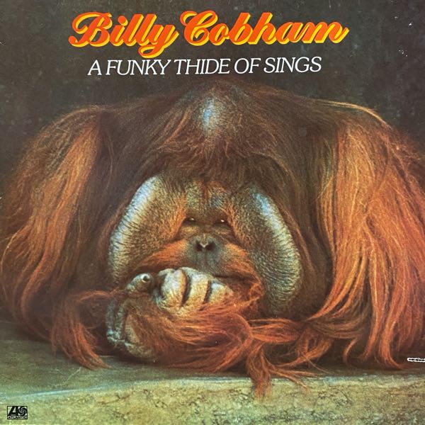 Billy Cobham – A Funky Thide Of Sings