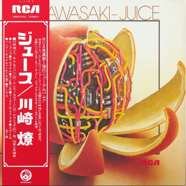 Ryo Kawasaki – Juice