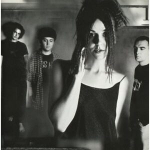 Cranes – Population Four