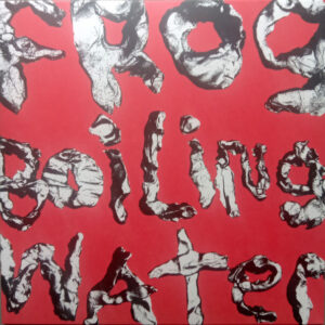 DIIV – Frog In Boiling Water